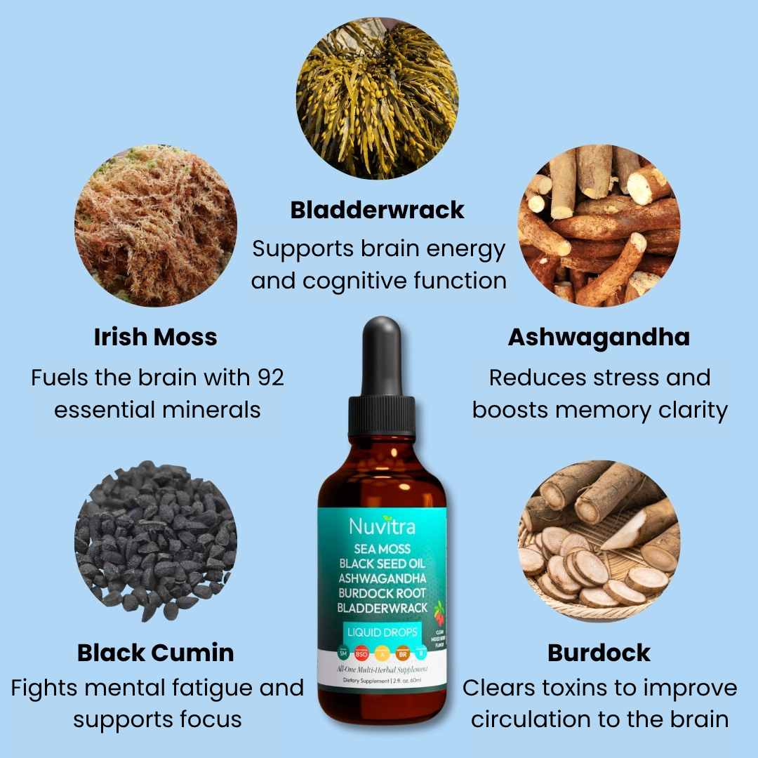 Irish Sea Moss Brain & Memory Support Drops